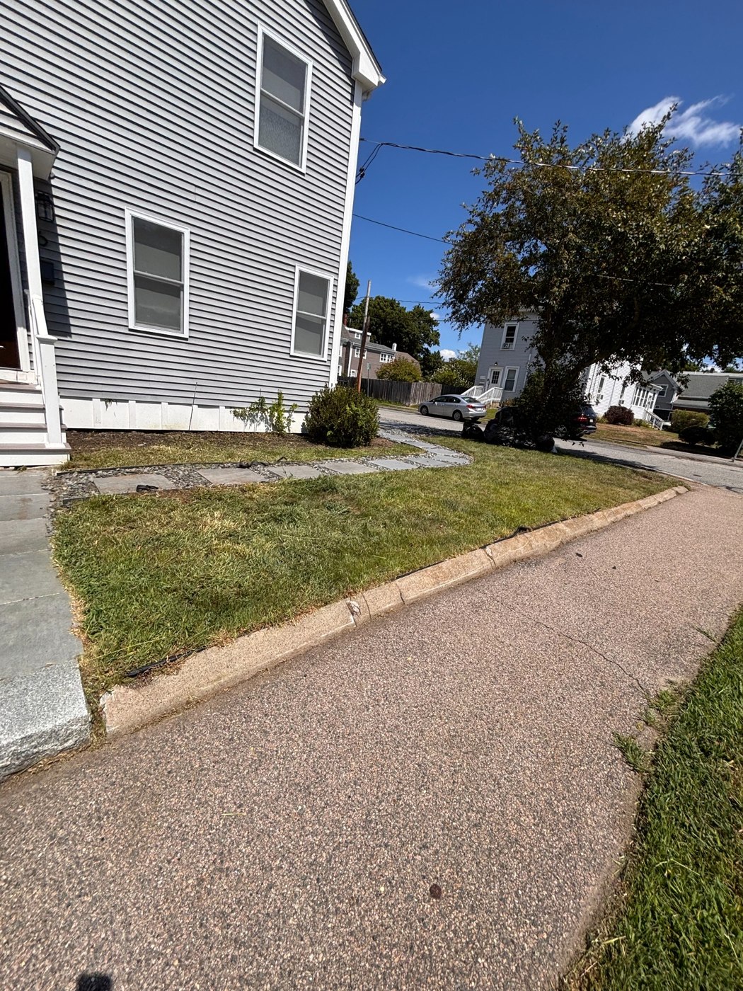 Yard and walkway cleanup after cleanup: cleared lawn and visible walkway